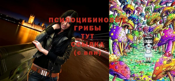 твердый Уссурийск